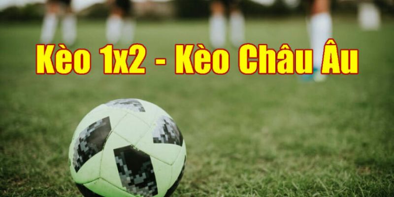 Hiểu rõ cách đọc tỷ lệ kèo châu Âu để đặt kèo chuẩn xác hơn