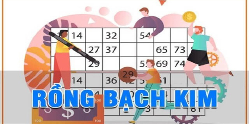 Bạn biết gì về lô gan rồng bạch kim?