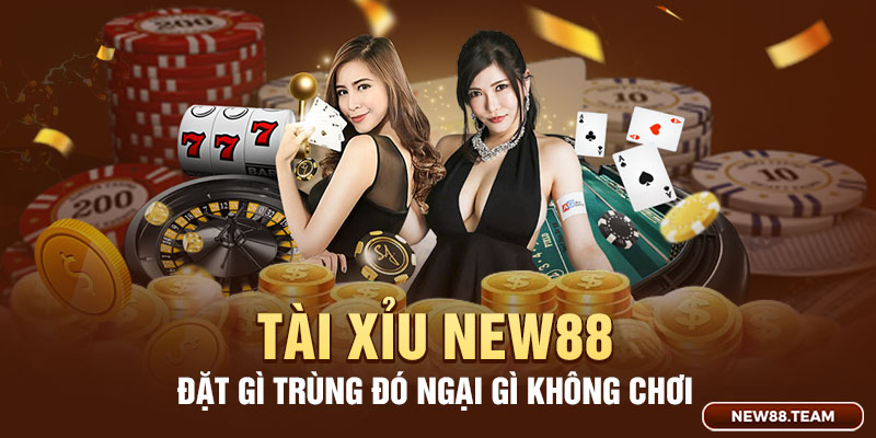 Tài xỉu New88 đặt gì trúng đó